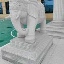 鄂尔多斯 白麻花岗岩动物异形石雕-大象
