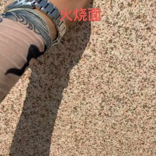 鄂尔多斯黄金麻火烧面