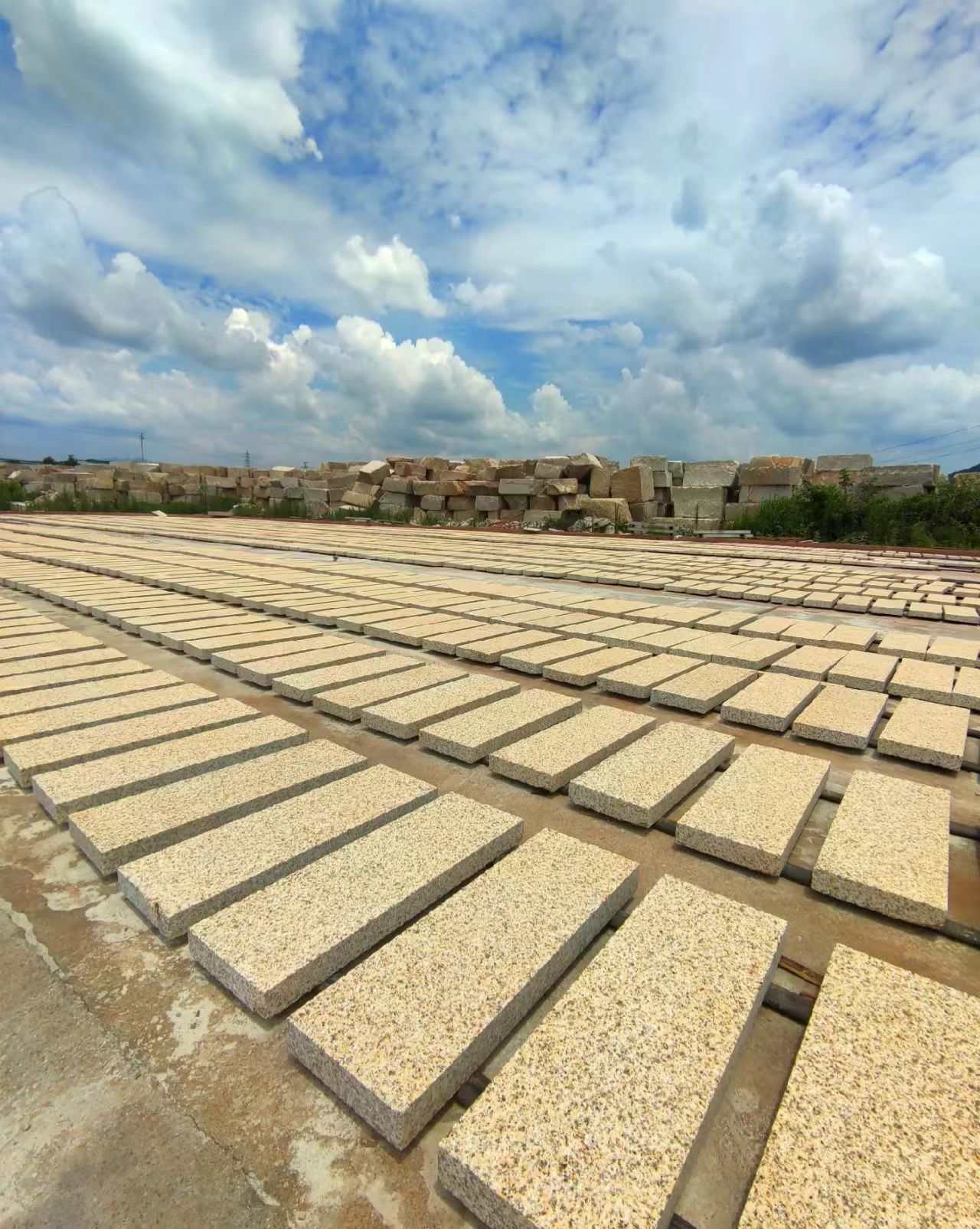 鄂尔多斯 黄金麻花岗岩荔枝面地铺石防护中